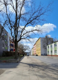 Lokal Wynajem  Śródmieście Jana Kazimierza