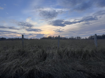 Działka Sprzedaż  Skolwin