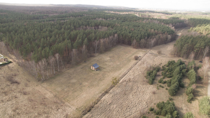 Działka Sprzedaż  Płonia 5