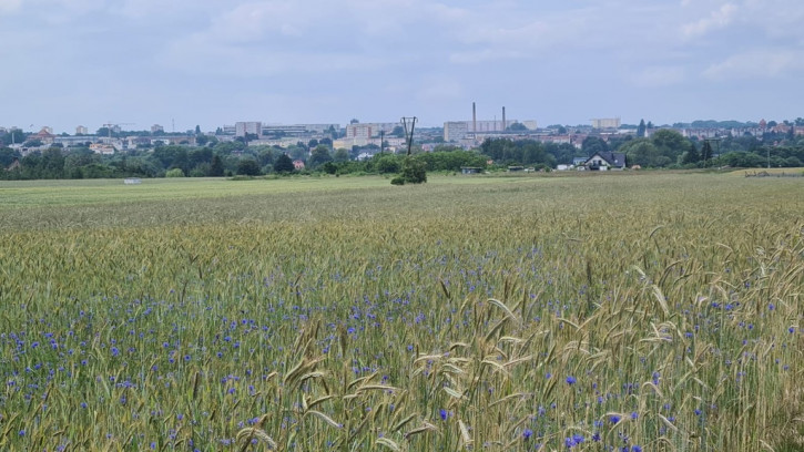 Działka Sprzedaż Stargard 1