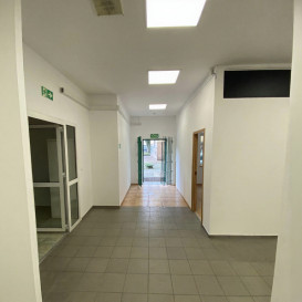 Lokal Wynajem  Centrum