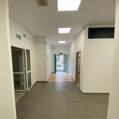 Lokal Wynajem  Centrum 5