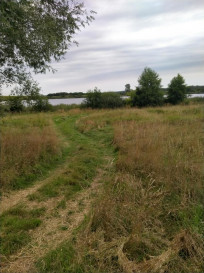 Działka Sprzedaż Czarnowo