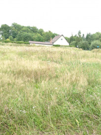 Działka Sprzedaż Czarnowo