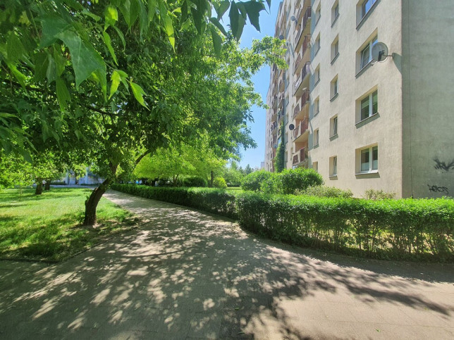 Mieszkanie Wynajem  Książąt Pomorskich Ks. bpa Władysława Bandurskiego 11