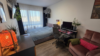 Mieszkanie Sprzedaż  Śródmieście-Centrum Powstańców Śląskich