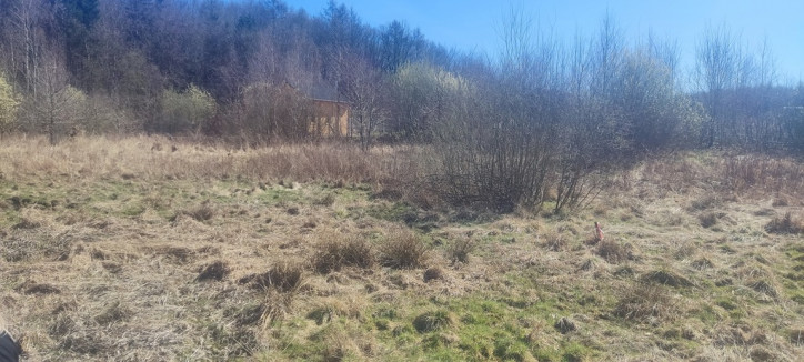 Działka Sprzedaż Linówko 4