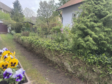 Mieszkanie Sprzedaż  Głębokie