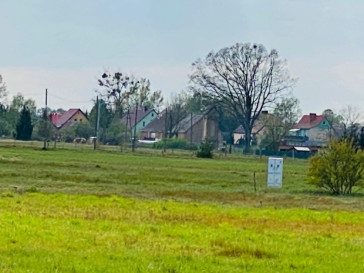 Działka Sprzedaż Miłowo