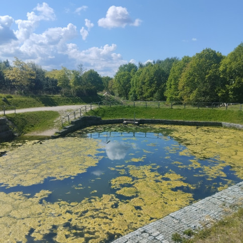 Mieszkanie Sprzedaż  Warszewo Szwedzka 12