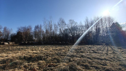 Działka Sprzedaż Koszalin Wilków Morskich
