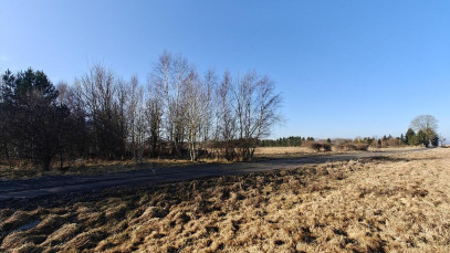 Działka Sprzedaż Koszalin Wilków Morskich
