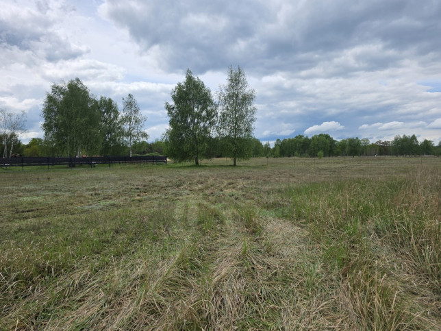 Działka Sprzedaż Grzepnica 3