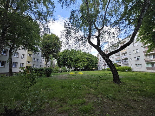 Mieszkanie Sprzedaż  Śródmieście-Centrum Odzieżowa 15