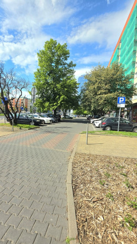 Mieszkanie Sprzedaż  Centrum al.&nbsp;Wyzwolenia 19
