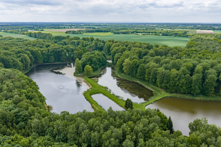 Działka Sprzedaż Wisławie 10