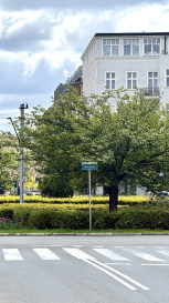 Mieszkanie Sprzedaż  Centrum Monte Cassino