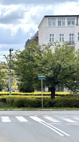 Mieszkanie Sprzedaż  Centrum Monte Cassino 31