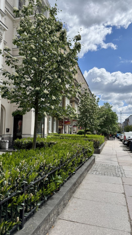 Mieszkanie Sprzedaż  Centrum Monte Cassino 1