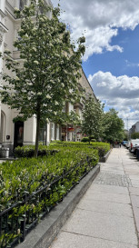 Mieszkanie Sprzedaż  Centrum Monte Cassino