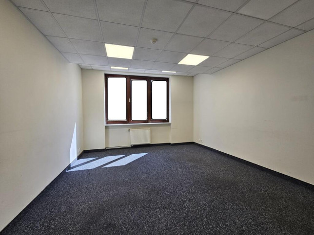 Lokal Wynajem  Centrum 6
