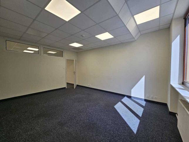 Lokal Wynajem  Centrum 7