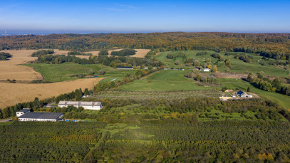 Dom Sprzedaż Binowo