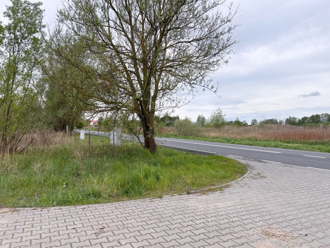 Działka Sprzedaż  Dąbie Lubczyńska 4