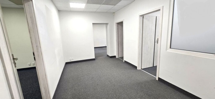 Lokal Wynajem  Śródmieście-Centrum 1