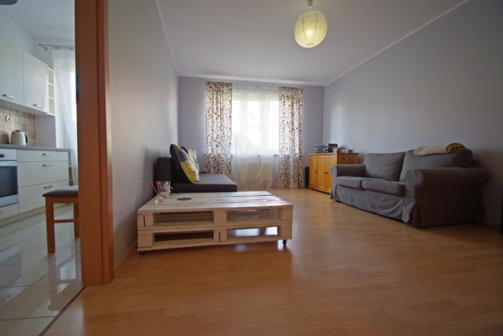 Mieszkanie Wynajem  Pogodno II Horeszków 1