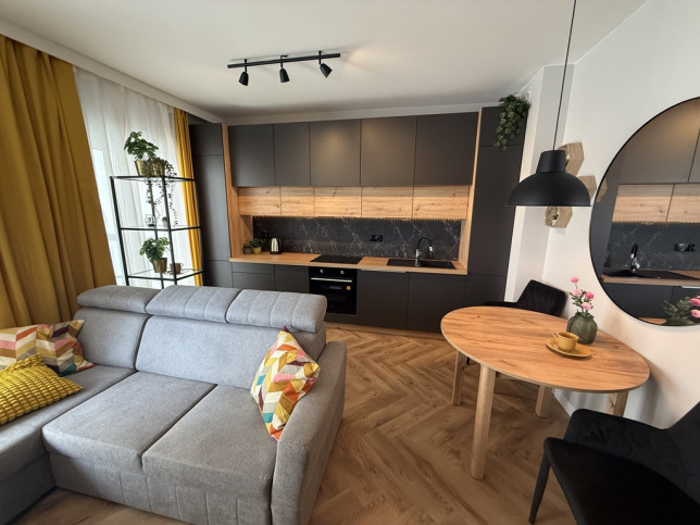 Mieszkanie Wynajem  Centrum Zielonego Mostu 10