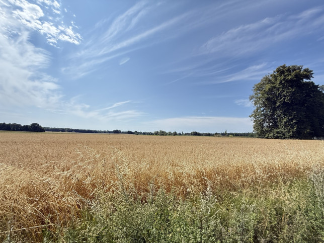 Działka Sprzedaż Oświno 19