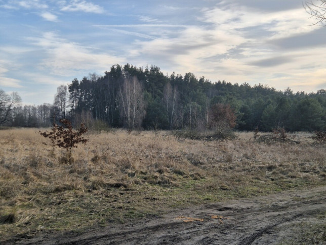 Działka Sprzedaż  Przytór Zalewowa 8