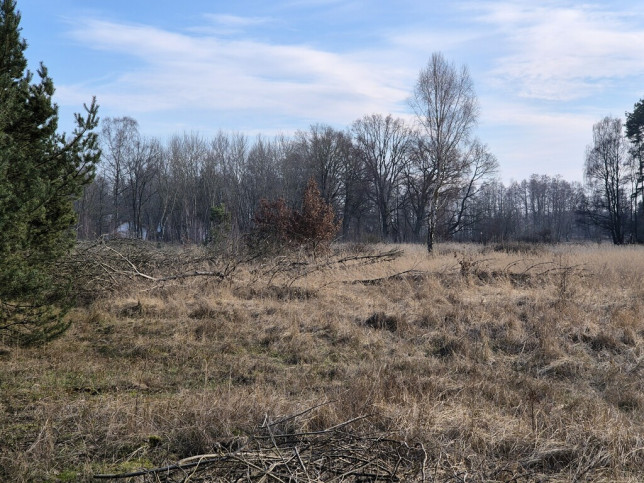 Działka Sprzedaż  Przytór Zalewowa 10