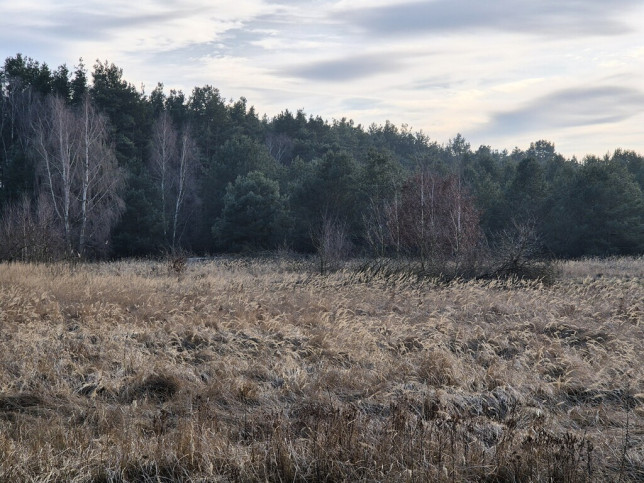 Działka Sprzedaż  Przytór Zalewowa 11