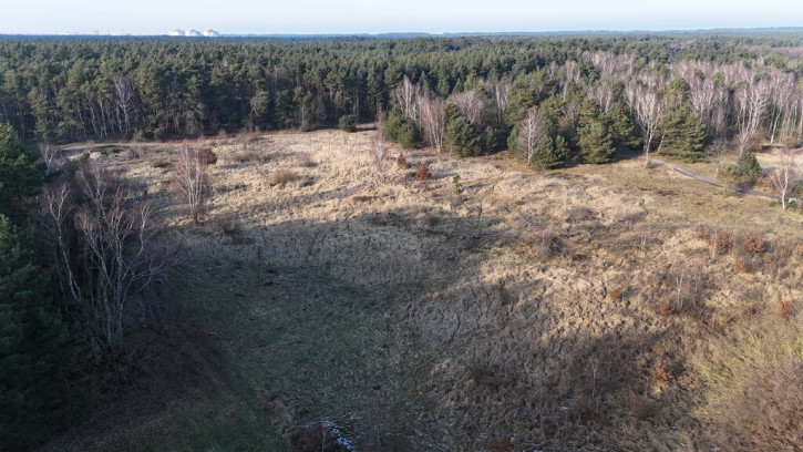 Działka Sprzedaż  Przytór Zalewowa 15