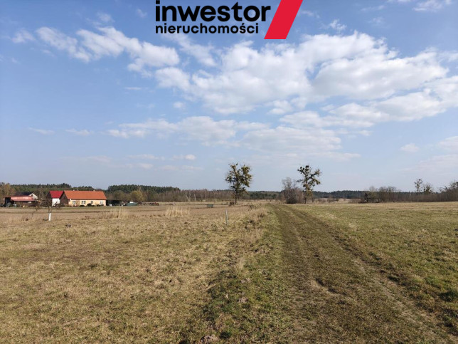 Działka Sprzedaż Stepnica 2