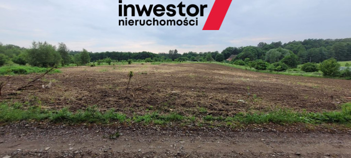 Działka Sprzedaż Binowo 4