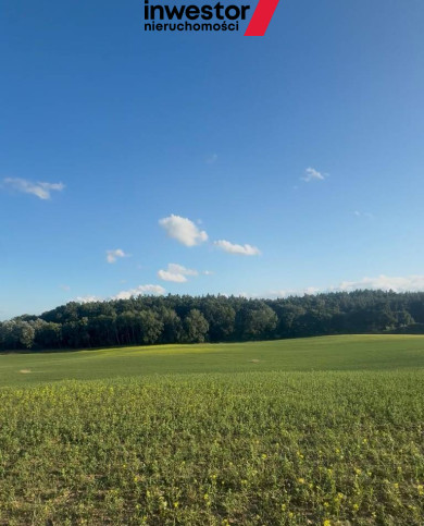 Działka Sprzedaż Buk 1