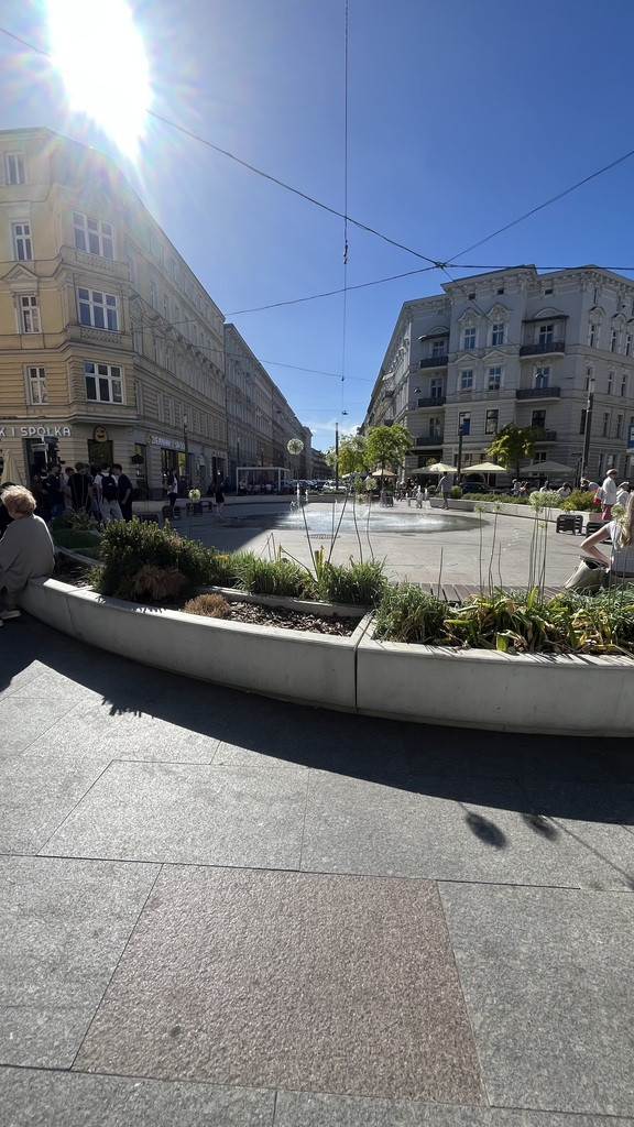 Lokal Wynajem Szczecin Centrum