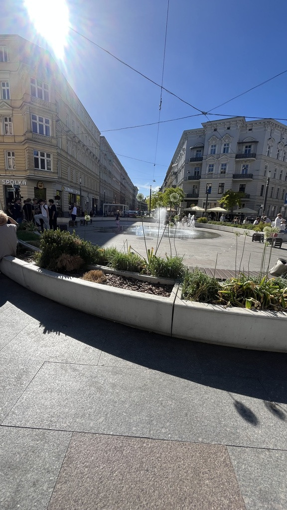 Lokal Wynajem Szczecin Centrum
