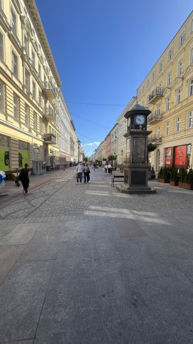 Lokal Wynajem Szczecin Centrum 14