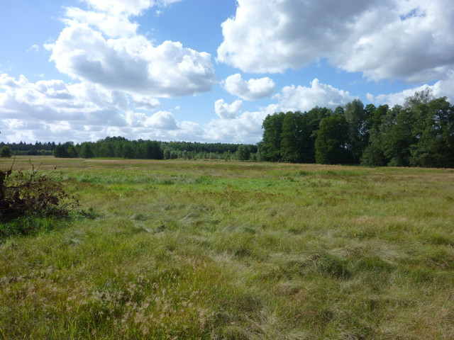 Działka Sprzedaż Grzepnica 1