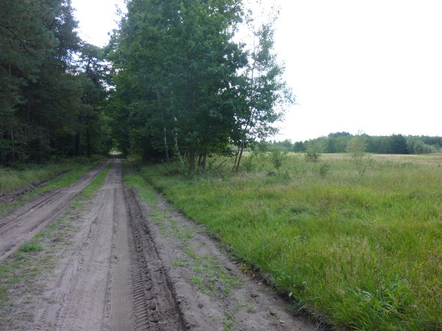 Działka Sprzedaż Grzepnica 8