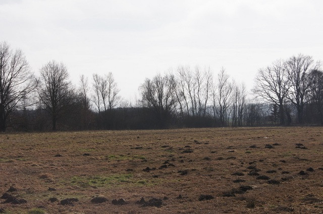 Działka Sprzedaż Jarzębowo 2