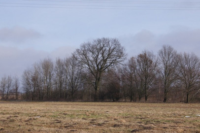 Działka Sprzedaż Jarzębowo