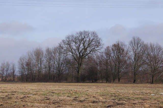 Działka Sprzedaż Jarzębowo 3