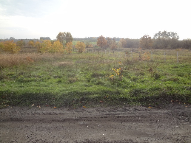 Działka Sprzedaż Stobno
