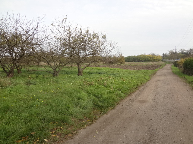 Działka Sprzedaż Stobno