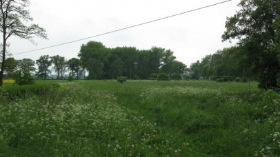 Działka Sprzedaż Giżyn